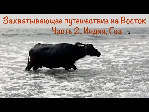 Видео: Захватывающее путешествие на Восток, Часть 2. Индия. Гоа. Эпизод 1, Морджим