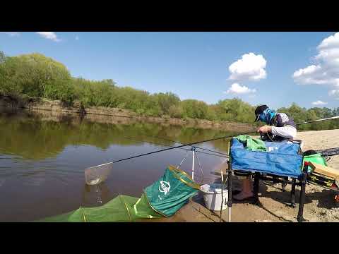 Видео: Лещ на реке