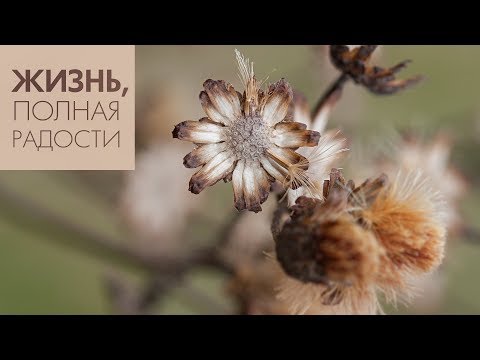 Видео: Джойс Майер: Разберёмся с грехом ч. 2