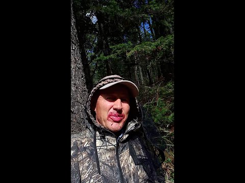 Видео: Андрей Федотов август в мухоршибирской тайге