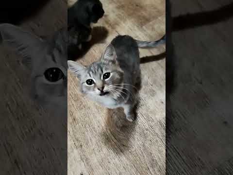 Видео: Добрый вечер. Вечерний релакс