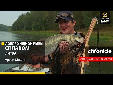 Видео: Ловля хищной рыбы сплавом. Литва. Артём Мишин. Anglers Chronicle