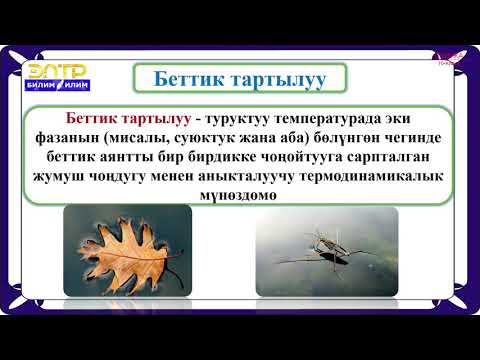 Видео: 10-класс | Физика  | Суюктуктар жана беттик тартылуу коэффиценти