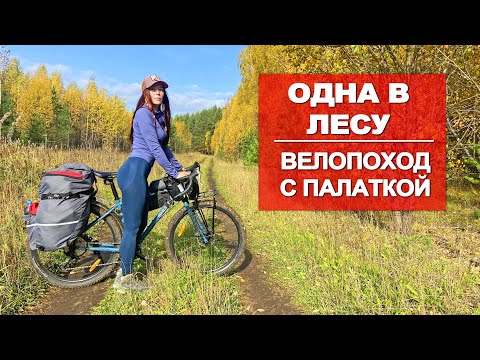 Видео: ОДИНОЧНЫЙ ВЕЛОПОХОД | НОЧУЮ В ПАЛАТКЕ | ЗВЕРЬ РЯДОМ