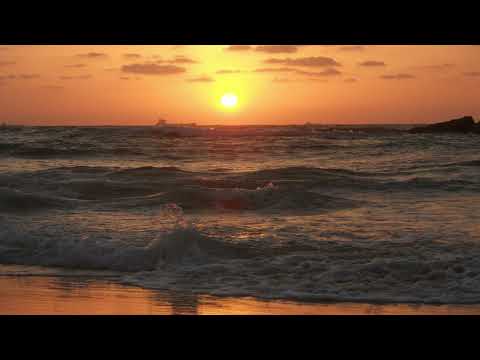 Видео: 29 10 25 Вы отплываете к далеким берегам