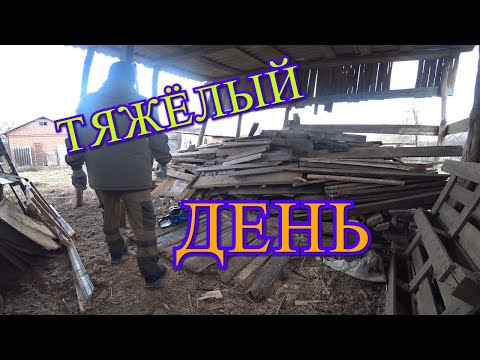 Видео: КОРОЧЕ,ПРАЗДНИКИ НАДОЕЛИ/ПОПИЛИЛ ДРОВА/МАЛЕНЬКИЙ МУКБАНГ/