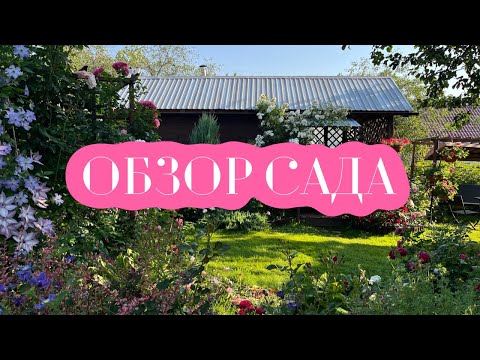 Видео: ОБЗОР САДА! #сад #садоводство #обзорсада