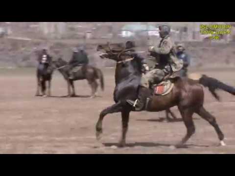 Видео: Тавилдара Мусобикаи бузкаши (Хочи Амриддин) кисми 2 БЕХТАРИН МУСОБИКАИ СОЛИ 2019