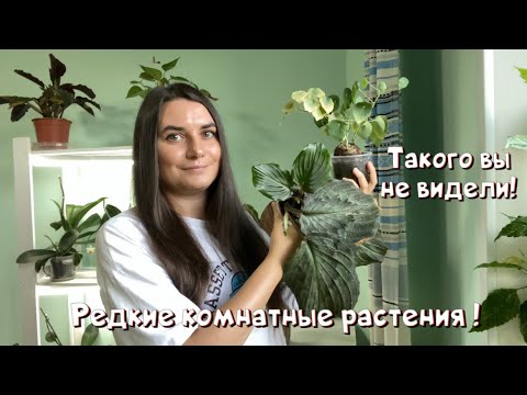 Видео: Такого вы не видели! Редкие комнатные растения!