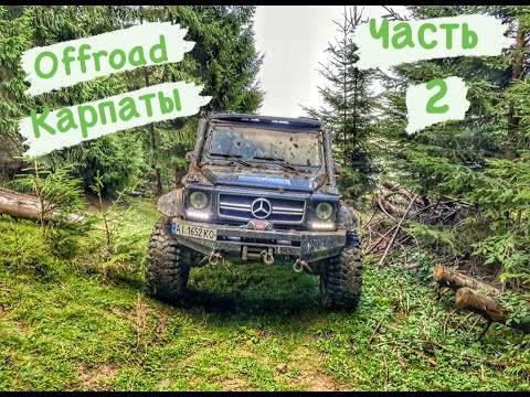 Видео: Не предсказуемые Карпаты и четыре Джипа!!!