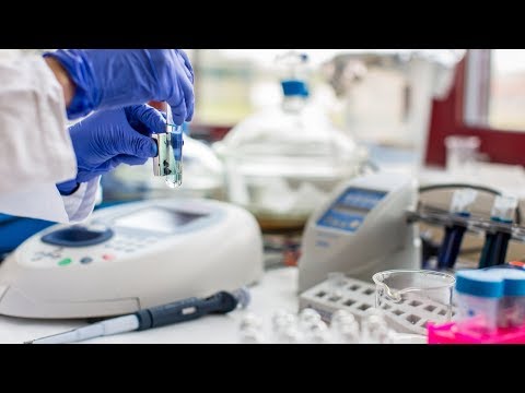 Видео: 3.4. Клеточная терапия и регенеративная медицина: установление характеристик