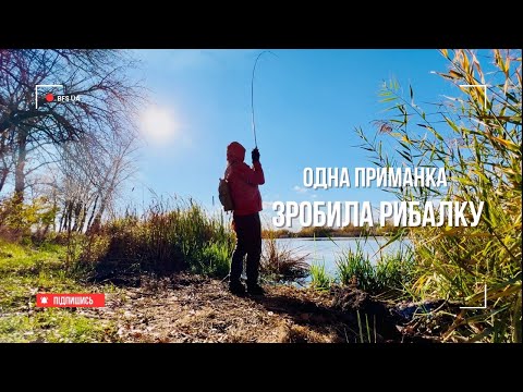 Видео: ОДНА ПРИМАНКА РОБИТЬ РИБАЛКУ!