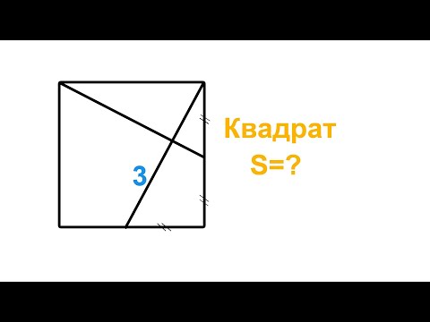 Видео: Никой не намери отговора?!