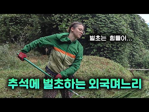 Видео: Уборка на курганах перед праздником Чхусок
