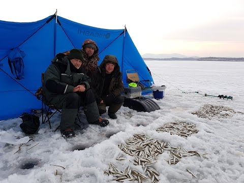 Видео: Подледная ловля корюшки в Посьете