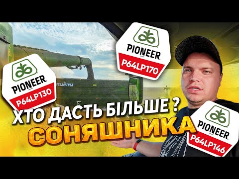 Видео: Що в цьому році по Піонеру⁉️ Один дощ за літо😱