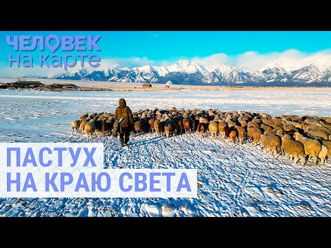 Видео: 200 баранов потомственного кочевника из Бурятии | ЧЕЛОВЕК НА КАРТЕ