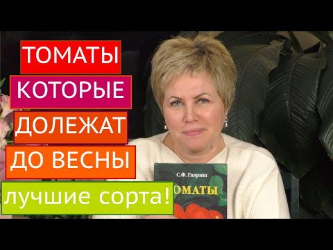 Видео: ЛЕЖКИЕ СОРТА ТОМАТОВ! СОХРАНЯТСЯ ДАЖЕ ДО ВЕСНЫ!!!