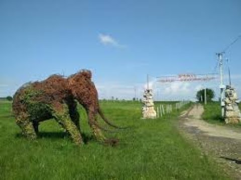 Видео: Чудо Старуня