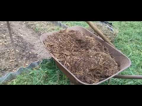 Видео: Органическая грядка для огурцов 06 10 25