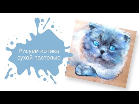 Видео: Рисуем Котика Дымку Сухой Пастелью 🐱