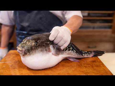 Видео: Японская традиционная рыба. Кухня фугу. Ресторан. Умелое обращение с ножом. Воздушный шар. Рыба.