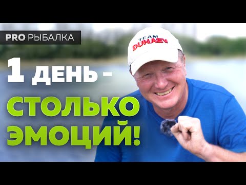 Видео: Рыболовный спорт - он какой?  Чемпионат Москвы 2021. Один день из жизни поплавочника.