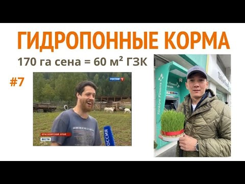 Видео: 60 м² гидропонных кормов заменяет = 170 га сена! Прямой эфир с Джастасом Уолкером - 02.04.2024