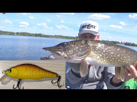 Видео: Мираж от Косадаки сделал рыбалку. Ловля щуки на воблеры....