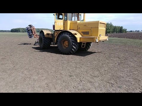 Видео: К-701 на разработке залежных земель