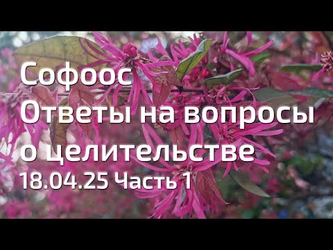 Видео: Софоос. Ответы на вопросы о целительстве. 18.04.25. Часть 1