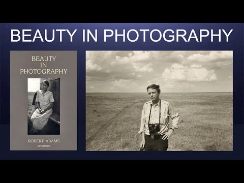 Видео: Роберт Адамс — Поиск формы в хаосе