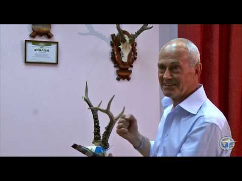 Видео: Охота на косулю с подхода. (Roe deer hunting from the approach ). Из архива.