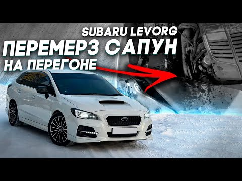 Видео: ПЕРЕМЕРЗ САПУН на SUBARU LEVORG! Что случилось с мотором?