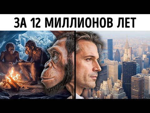 Видео: 10-минутное путешествие по эволюции человека на Земле