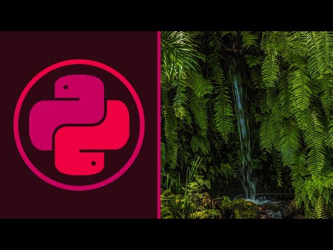 Видео: КАК УСТАНОВИТЬ PYTHON | Python 3, Питон 3