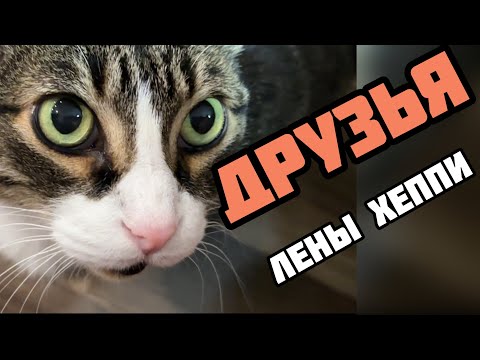 Видео: Еду в Орландо к другу  Родни на барбекю. Еду в Тампу к подруге Софие .