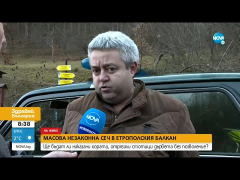 Видео: Масова незакона сеч в етрополския балкан - Здравей, България (30.12.2022)