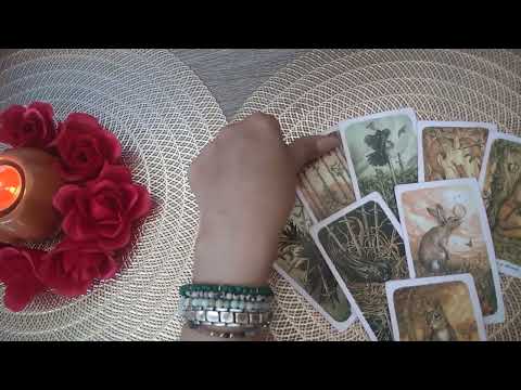 Видео: Има ли план за вас?