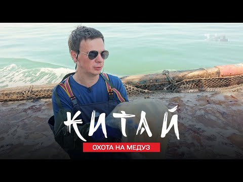 Видео: Охота на медуз и как китайцы готовят из них ДЕЛИКАТЕСЫ. Китай. Мир наизнанку 11 сезон 8 серия