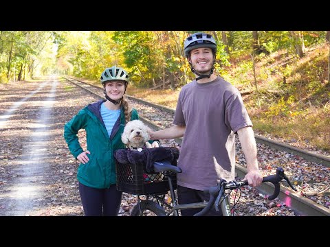 Видео: Создаем переноску для собак на велосипеде!