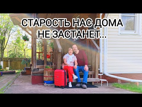 Видео: КОТоБудни в КОТоРаю накануне большого путешествия...