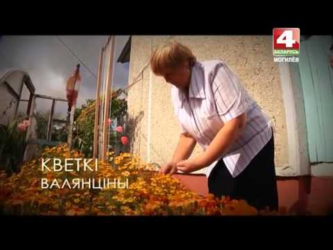 Видео: История с географией. Рясно, Дрибинский район, Могилевская область, Беларусь