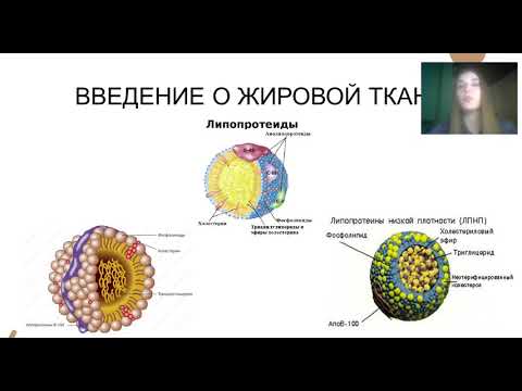 Видео: 3   «Патофизиологические особенности нарушения жирового обмена».