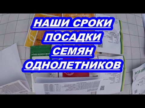 Видео: НАШИ СРОКИ ПОСАДКИ СЕМЯН ОДНОЛЕТНИКОВ.