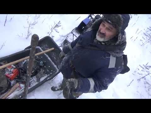 Видео: Рыбалка золотого карася в ноябре #6