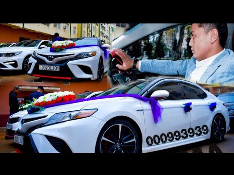 Видео: Дима Газини бос