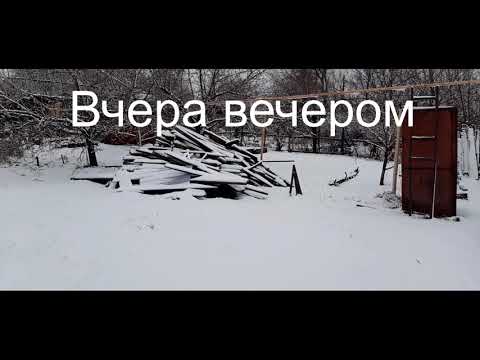 Видео: Кролики,вечерний обзорчик!