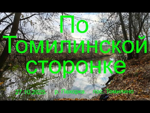 Видео: Трилогия "Пехорка".  По Томилинской сторонке. 27.10.2025. река Пехорка.  Рыбалка в Подмосковье.