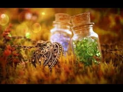 Видео: любимые духи на осень